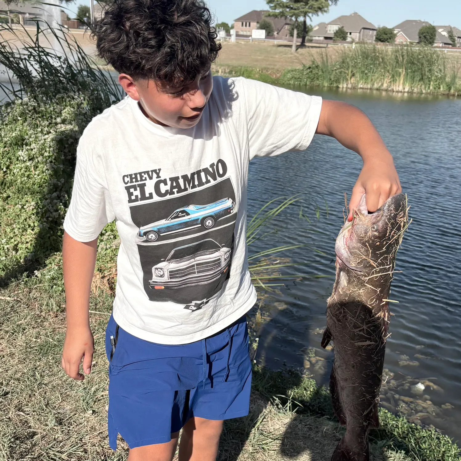 Flathead catfish caught on Fishbrain
