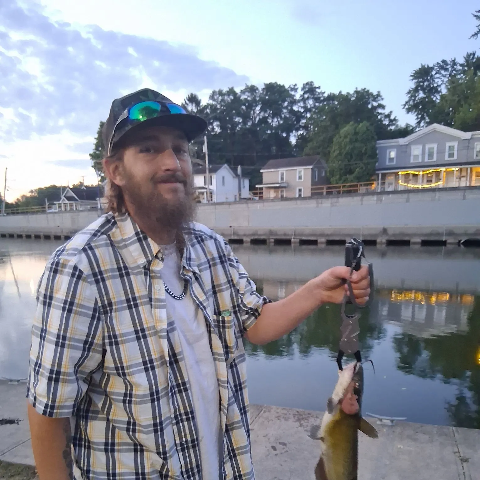 Channel catfish caught on Fishbrain