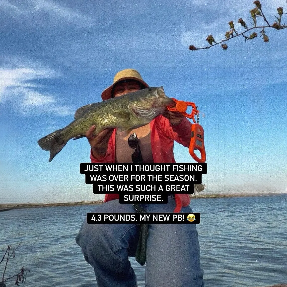 Largemouth bass caught on Fishbrain