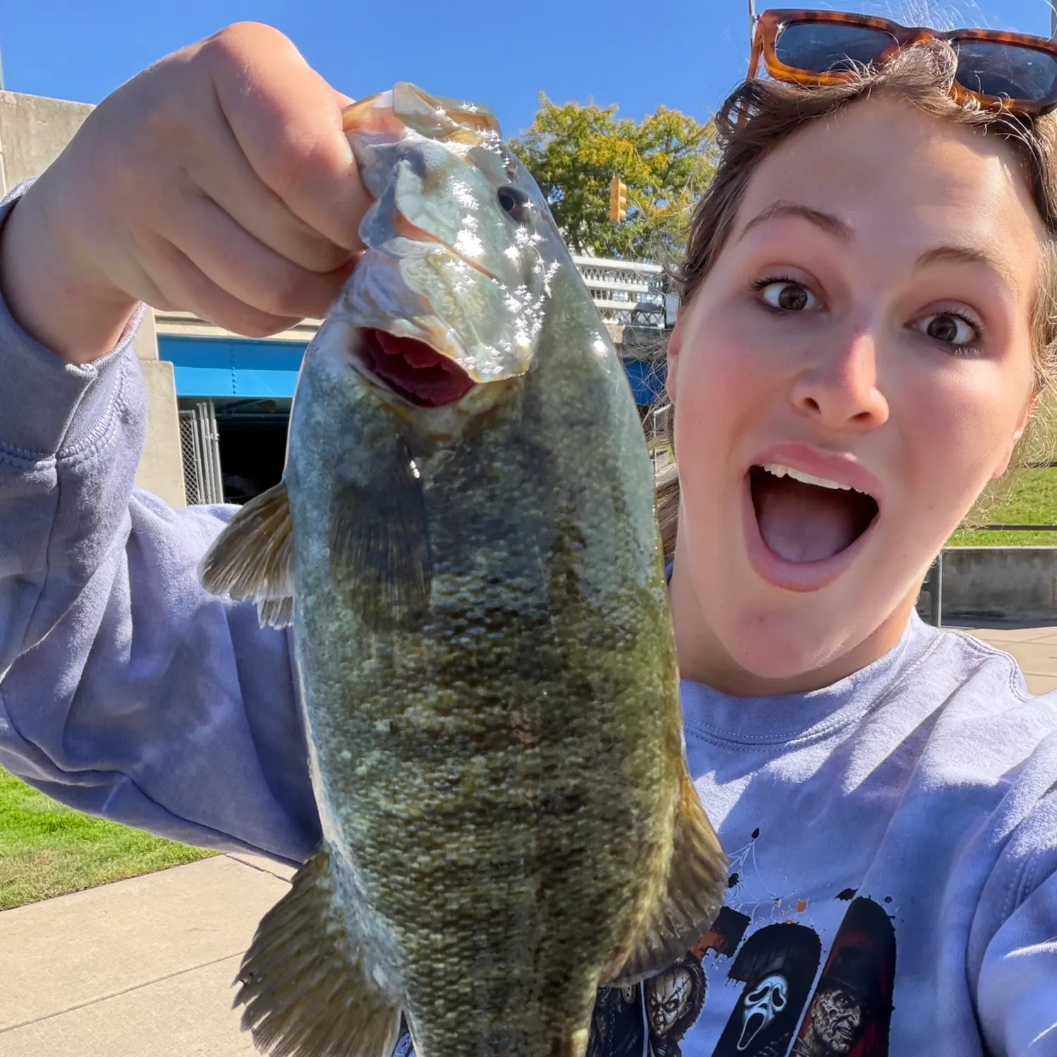 Smallmouth bass caught on Fishbrain