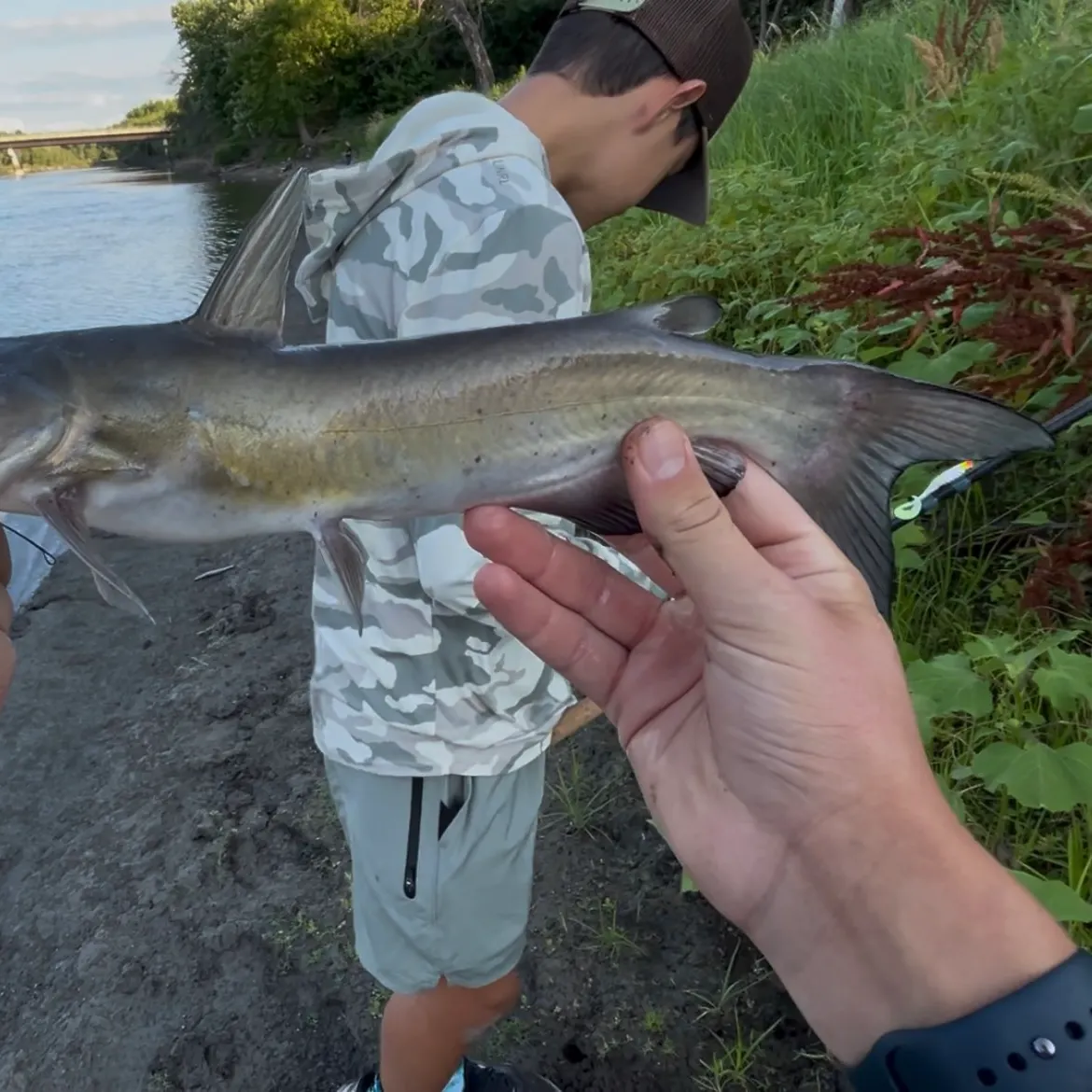 catch