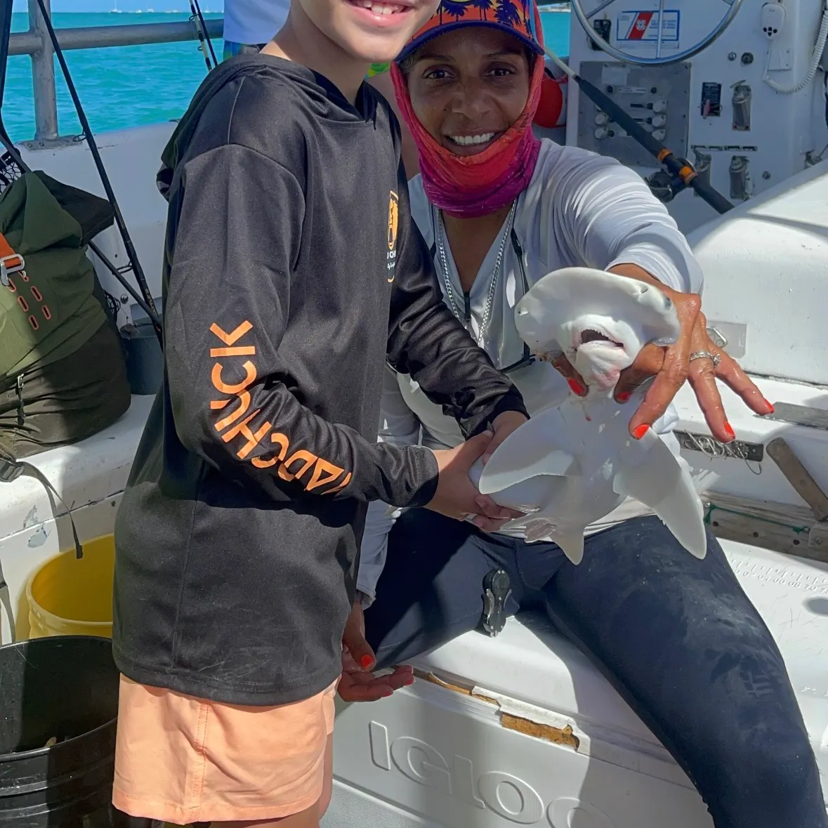 The most recent Great hammerhead shark catches on Fishbrain