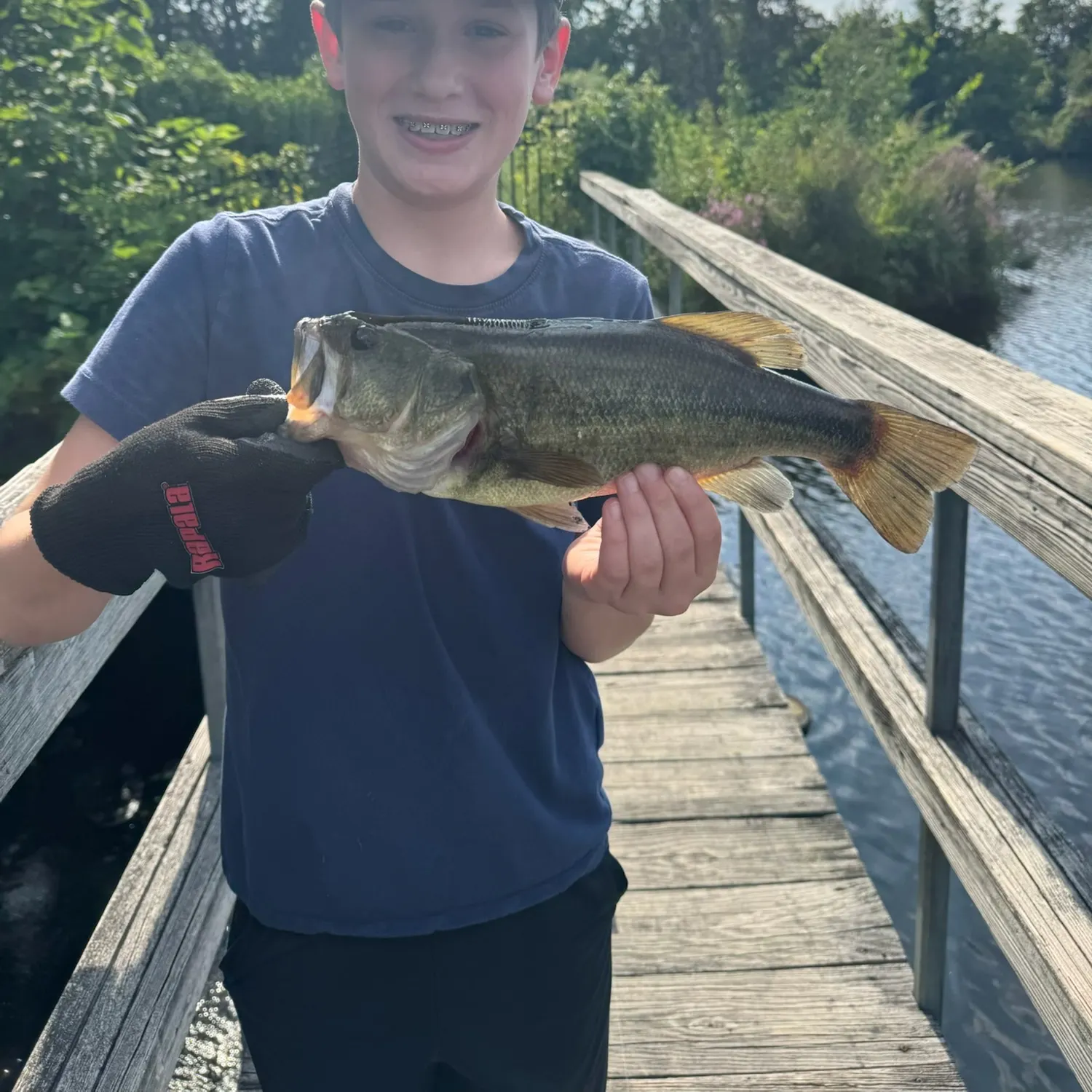 Largemouth bass caught on Fishbrain