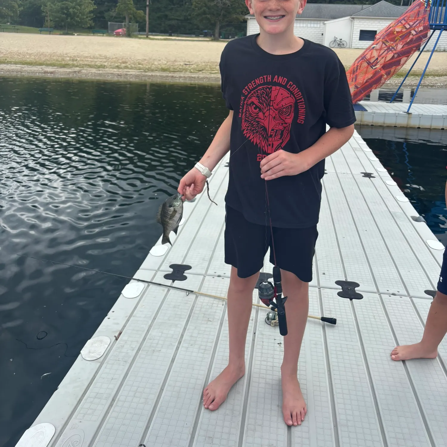 Bluegill caught on Fishbrain