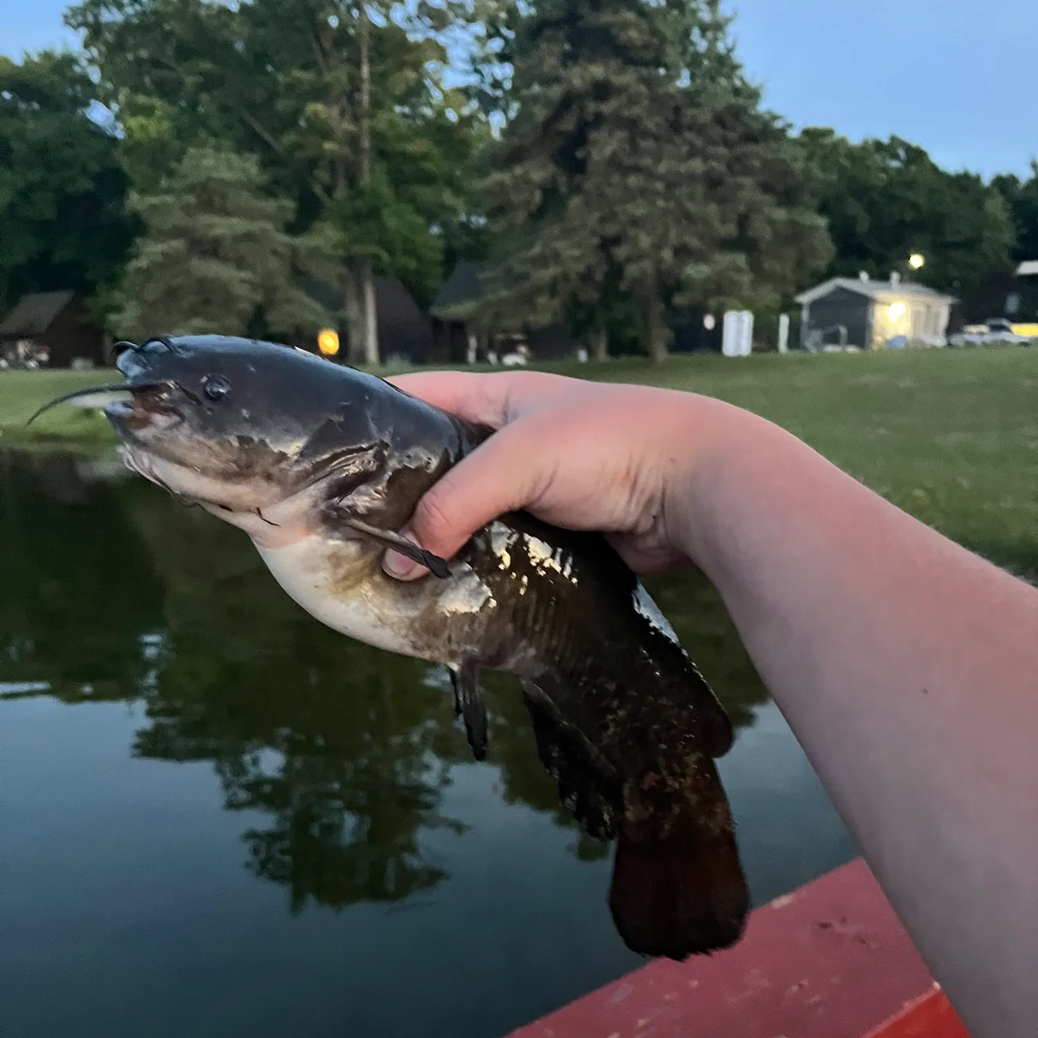 catch