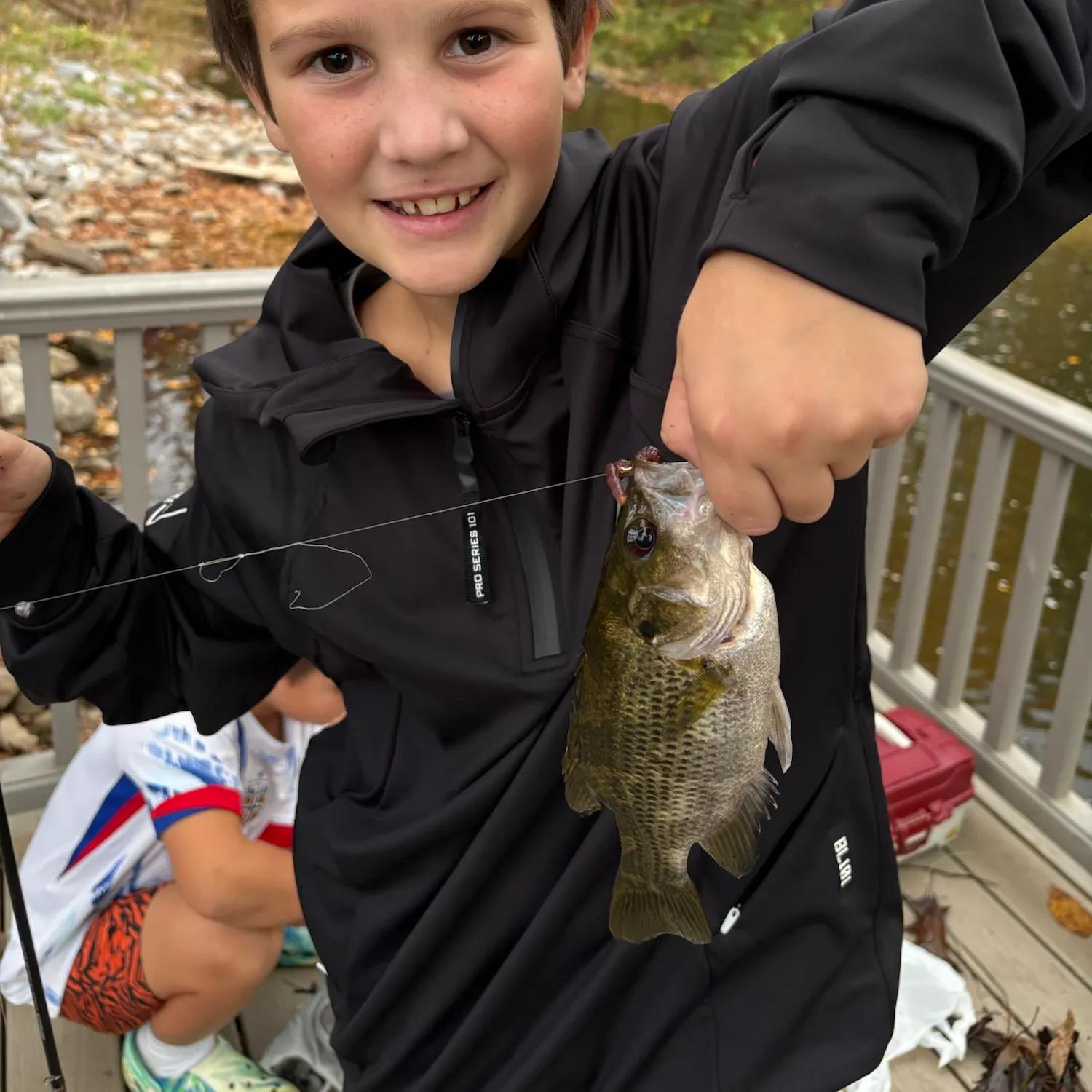 Rock bass caught on Fishbrain