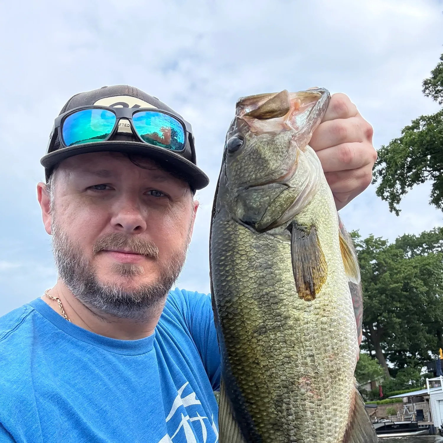 The most recent Largemouth bass catches on Fishbrain