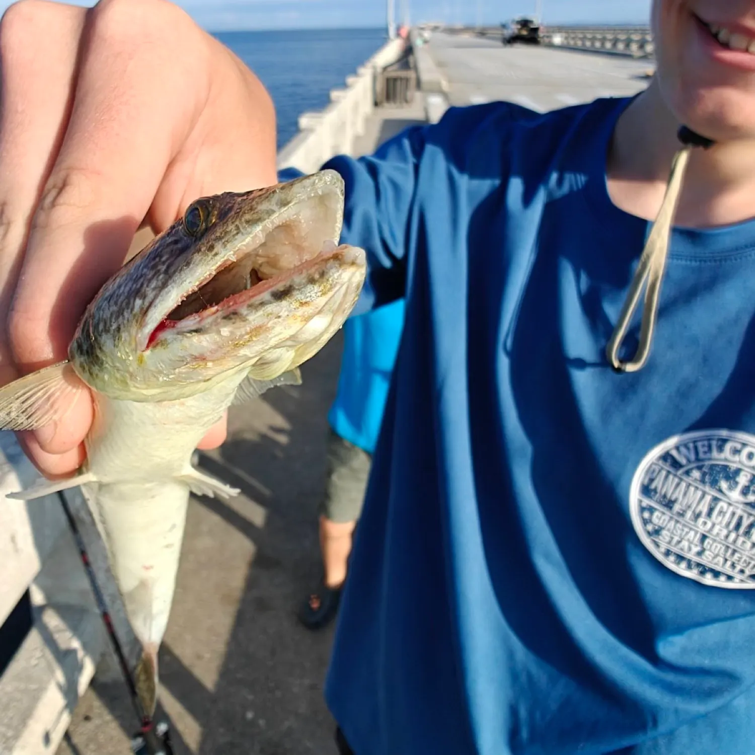 The most recent Inshore lizardfish catches on Fishbrain