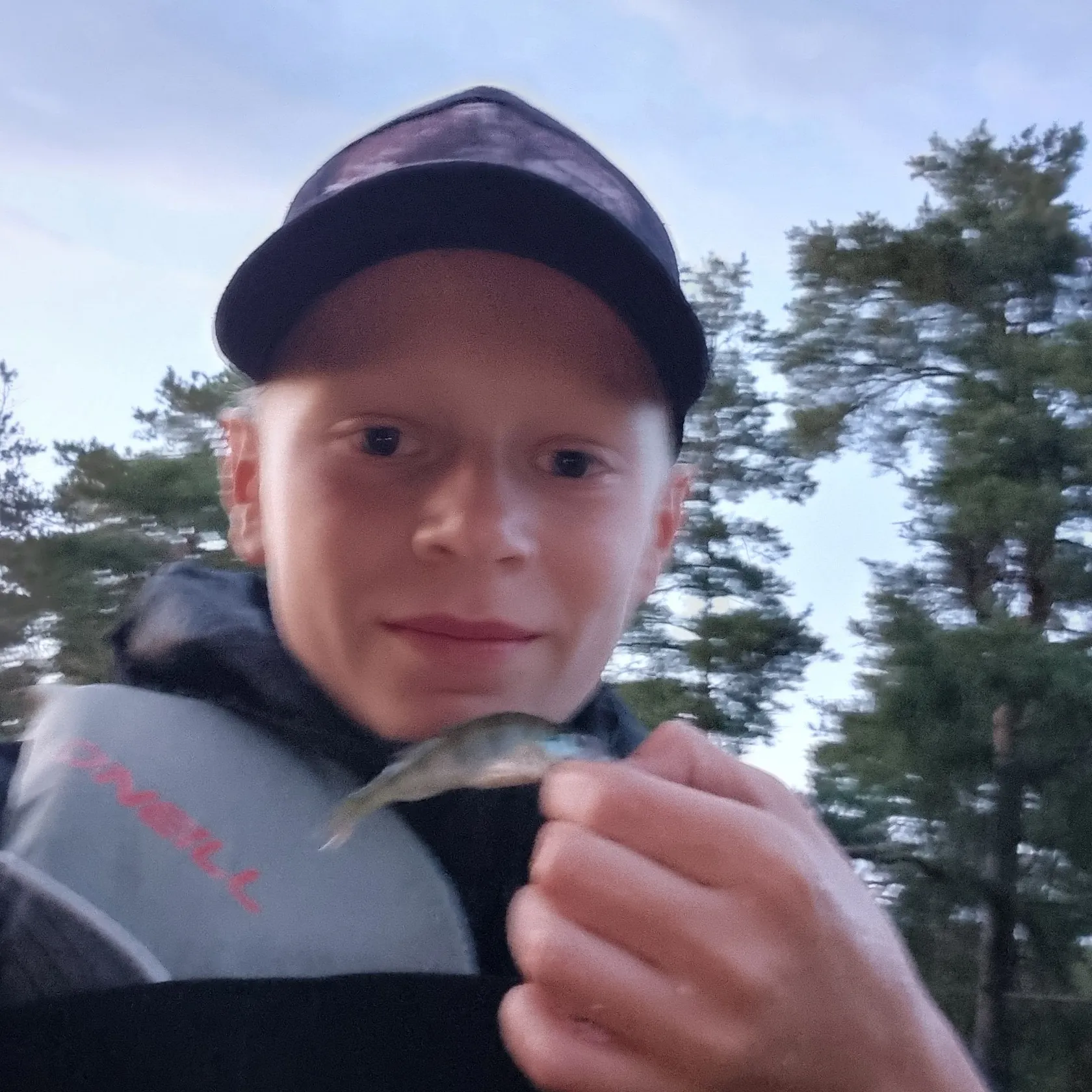 European perch caught on Fishbrain