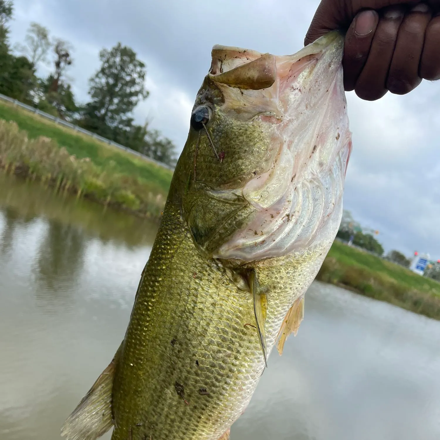 angler catch
