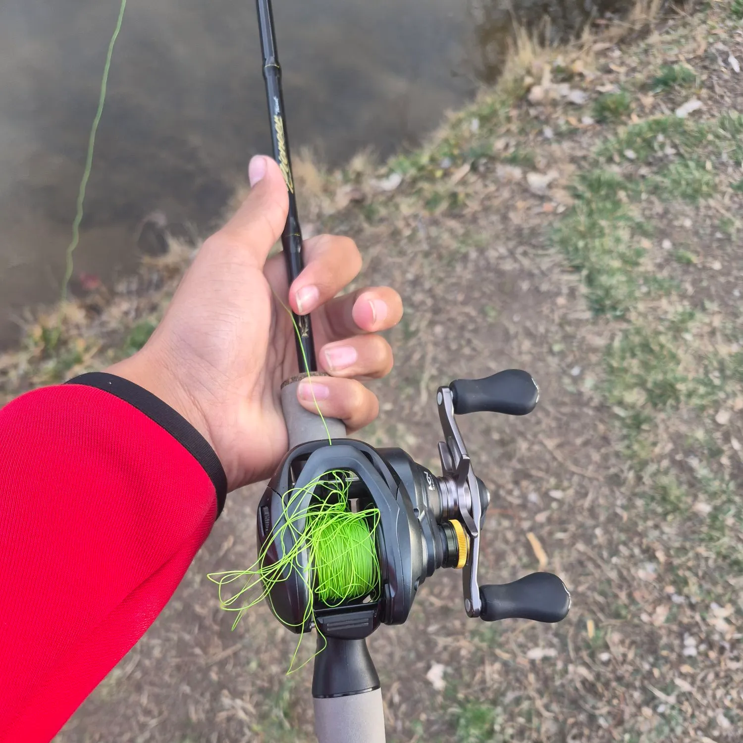 The most recent Tiger muskellunge catches on Fishbrain