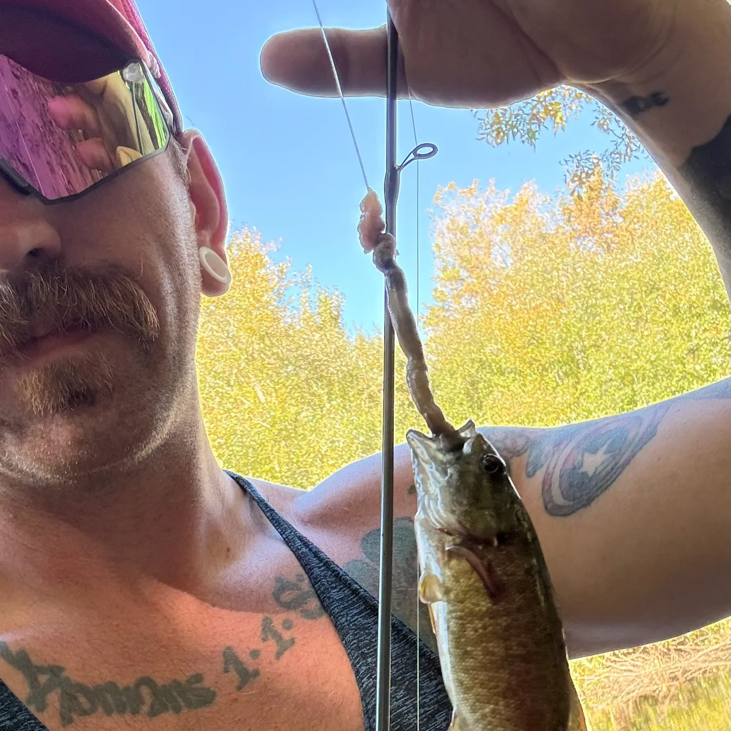 Smallmouth bass caught on Fishbrain