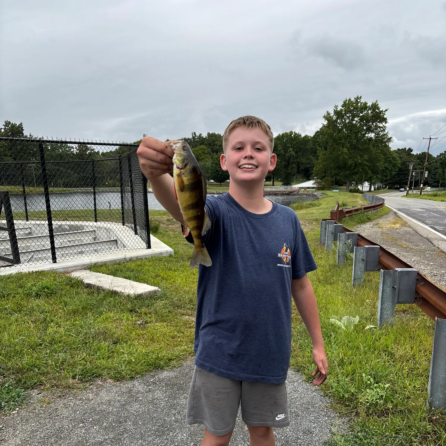 Yellow perch caught on Fishbrain