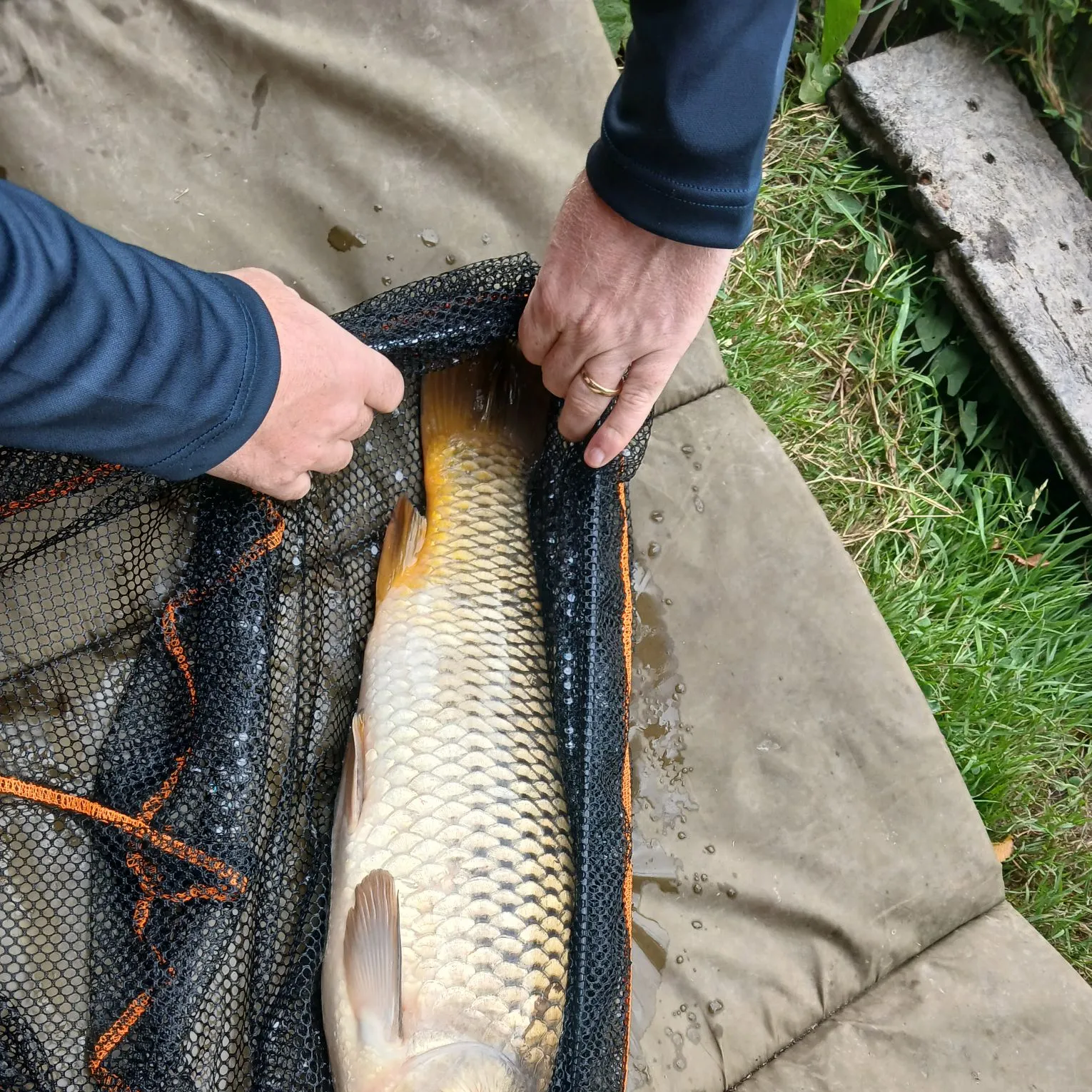 catch