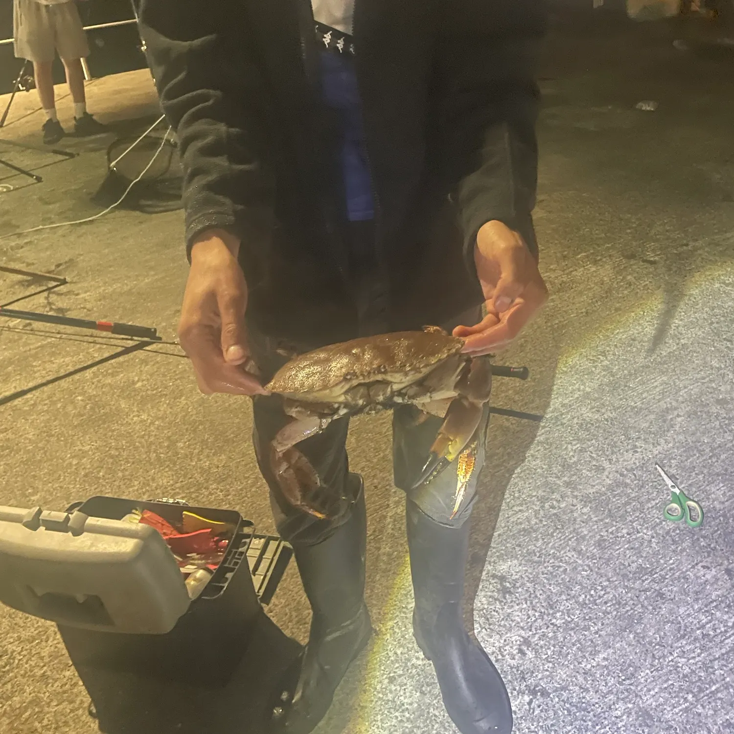 Jonah crab caught on Fishbrain