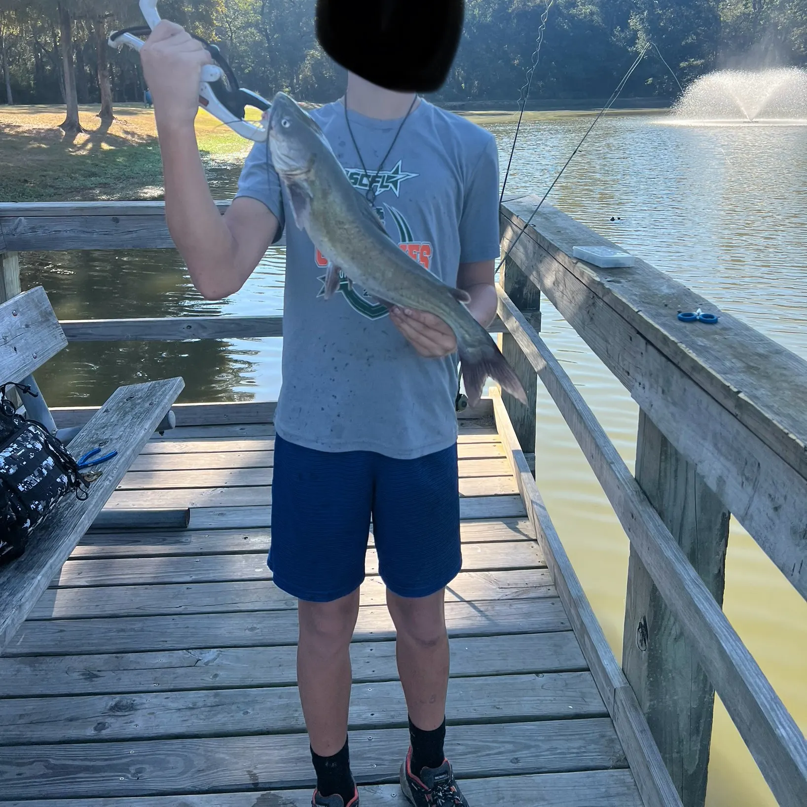 Channel catfish caught on Fishbrain