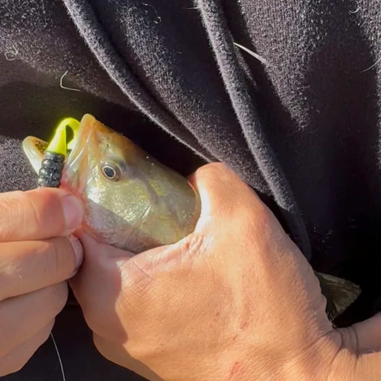 catch