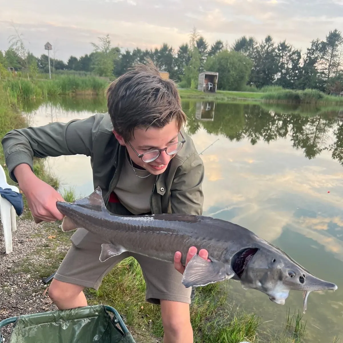 White sturgeon caught on Fishbrain