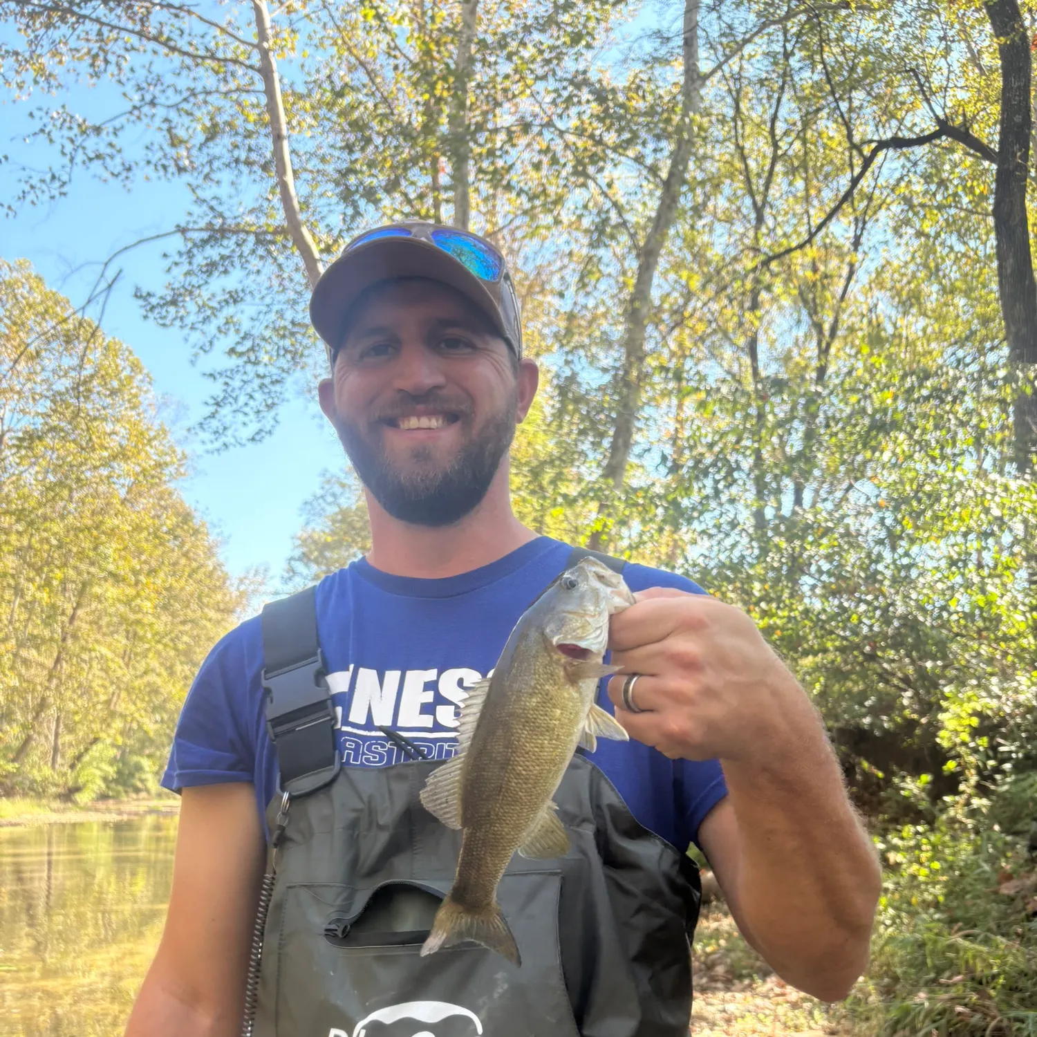 Smallmouth bass caught on Fishbrain