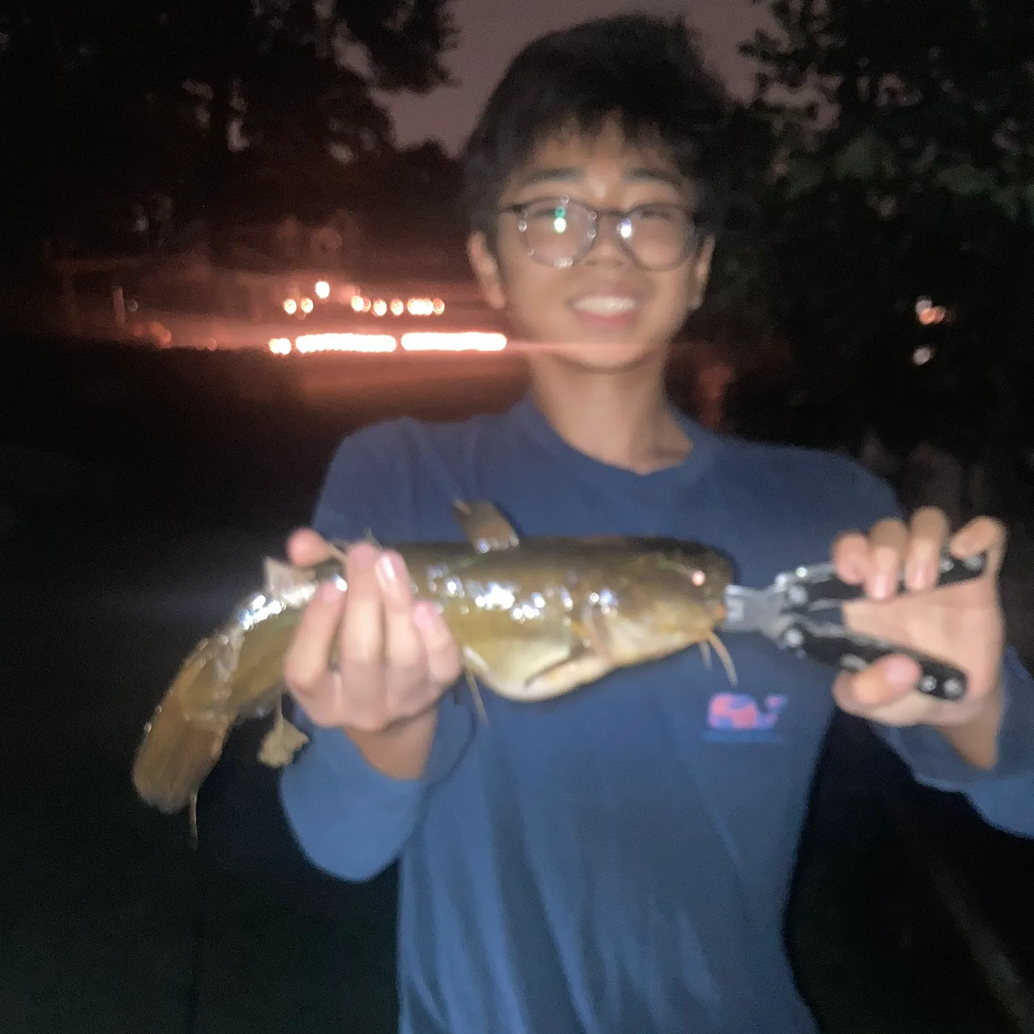 The most recent Yellow bullhead catches on Fishbrain