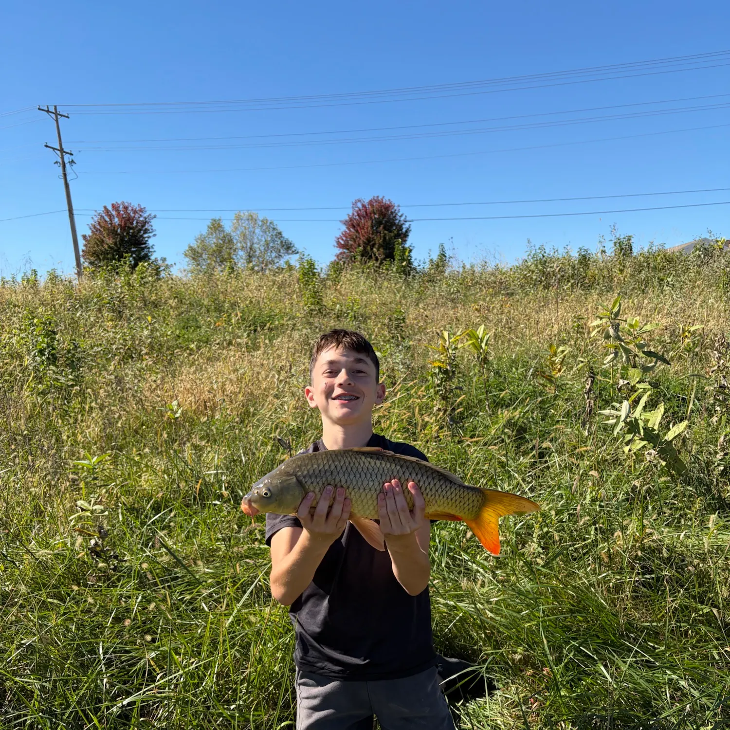 Common carp caught on Fishbrain
