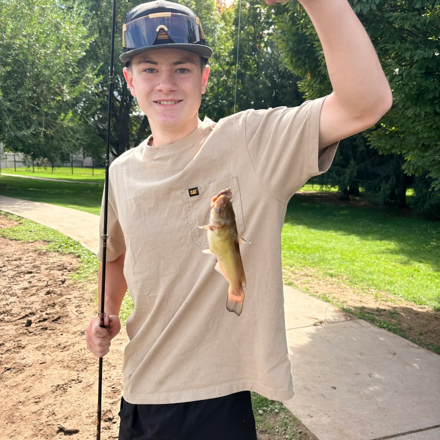 Yellow bullhead caught on Fishbrain