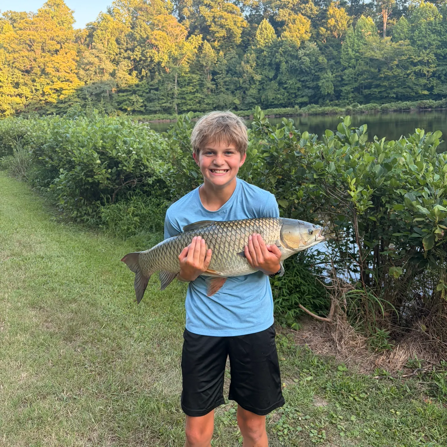 Grass carp caught on Fishbrain