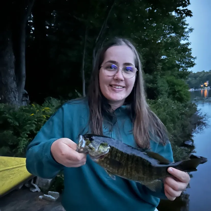 Smallmouth bass caught on Fishbrain