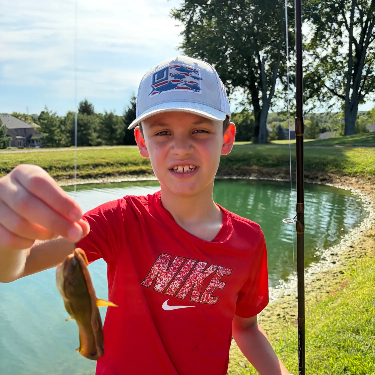 Yellow bullhead caught on Fishbrain