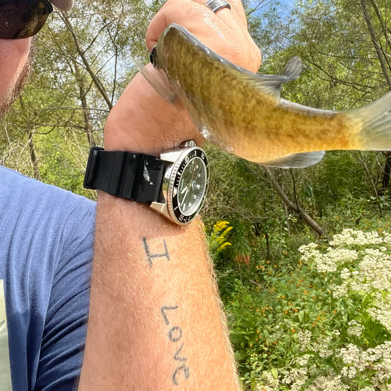 Bluegill caught on Fishbrain