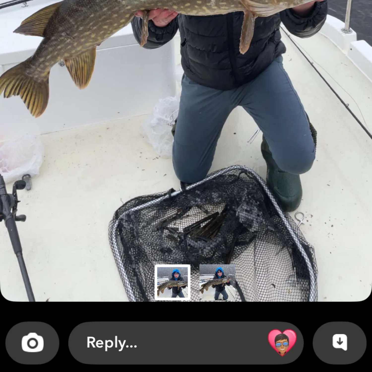 recently logged catches