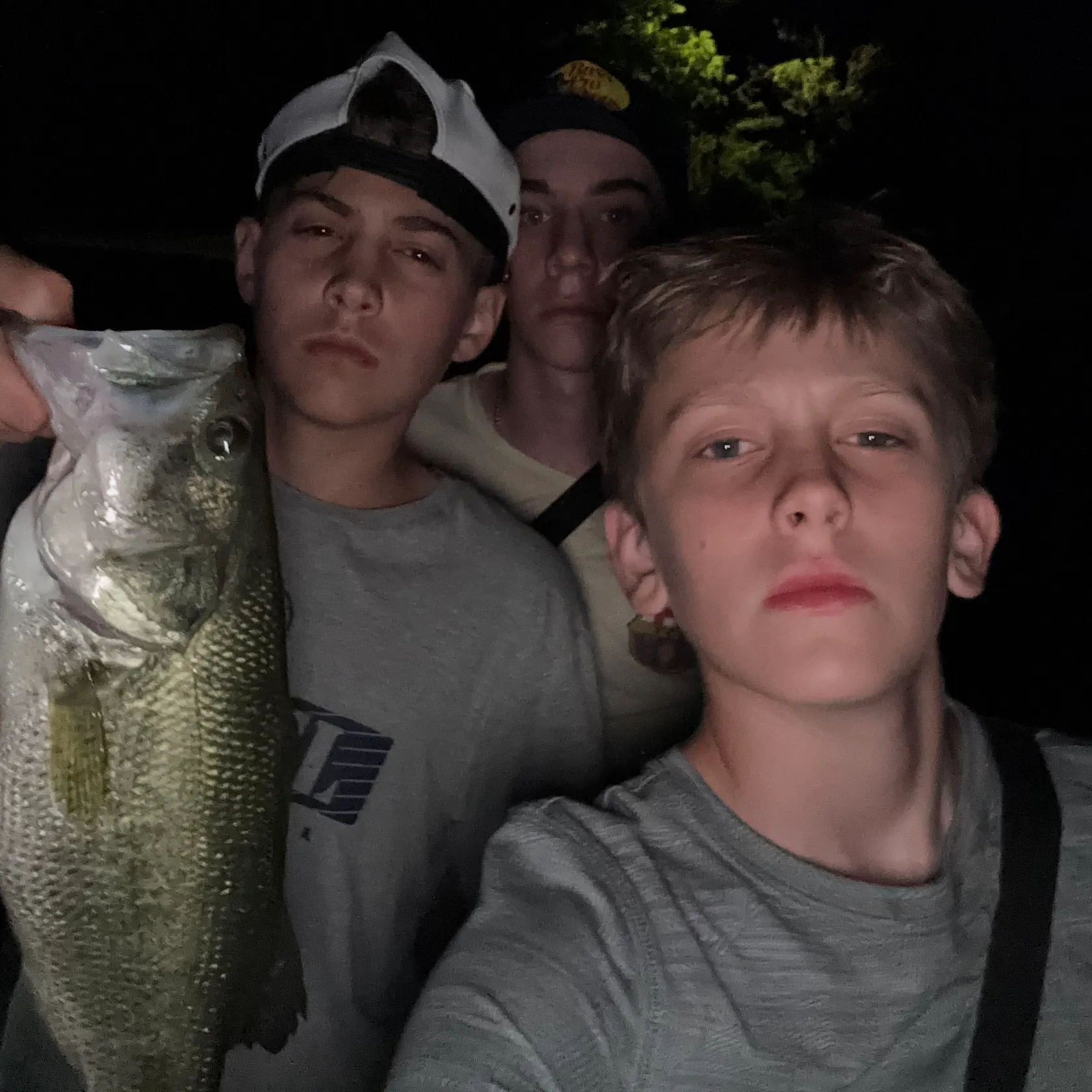 The most recent Largemouth bass catches on Fishbrain