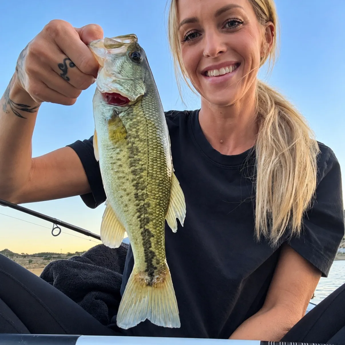Largemouth bass caught on Fishbrain