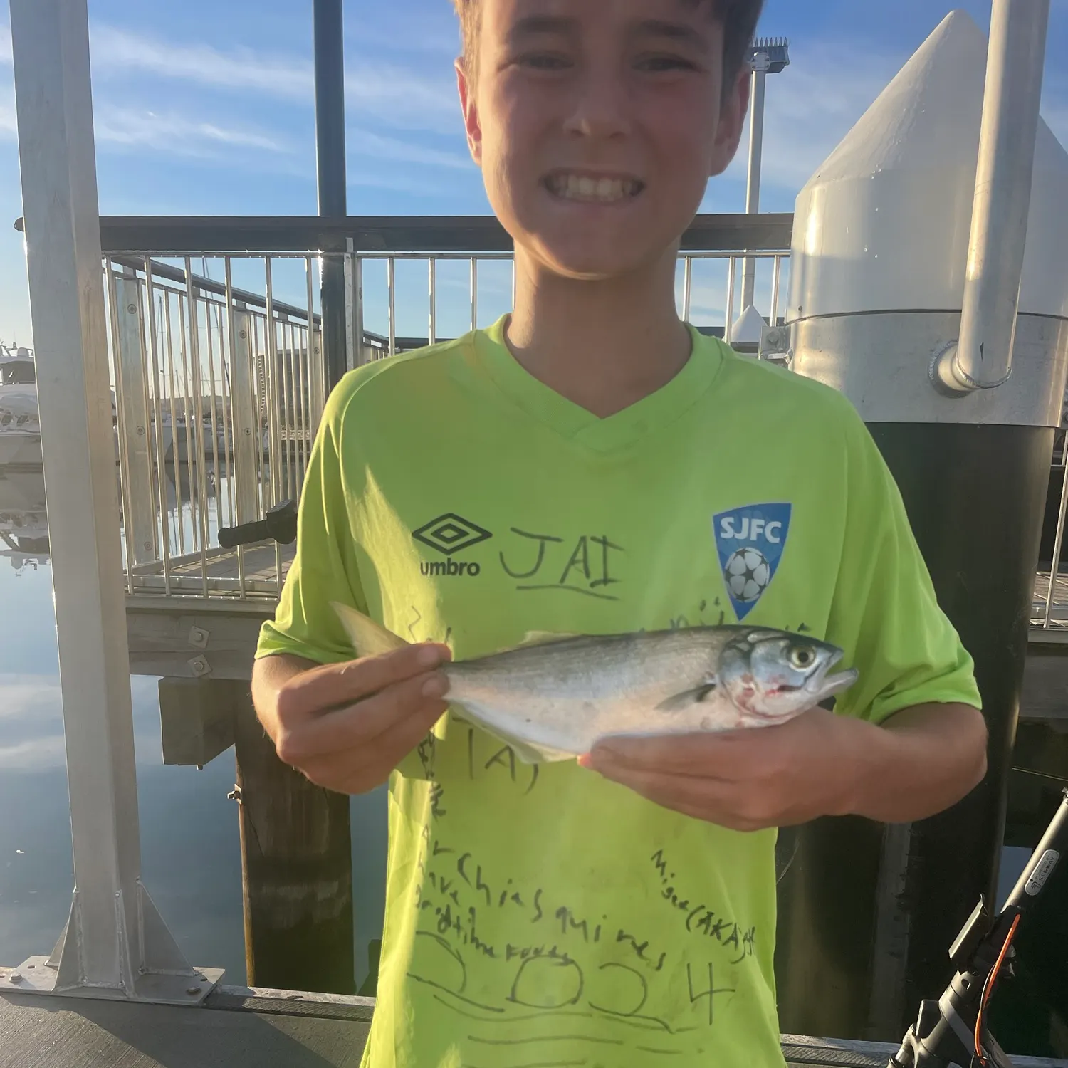 Bluefish caught on Fishbrain