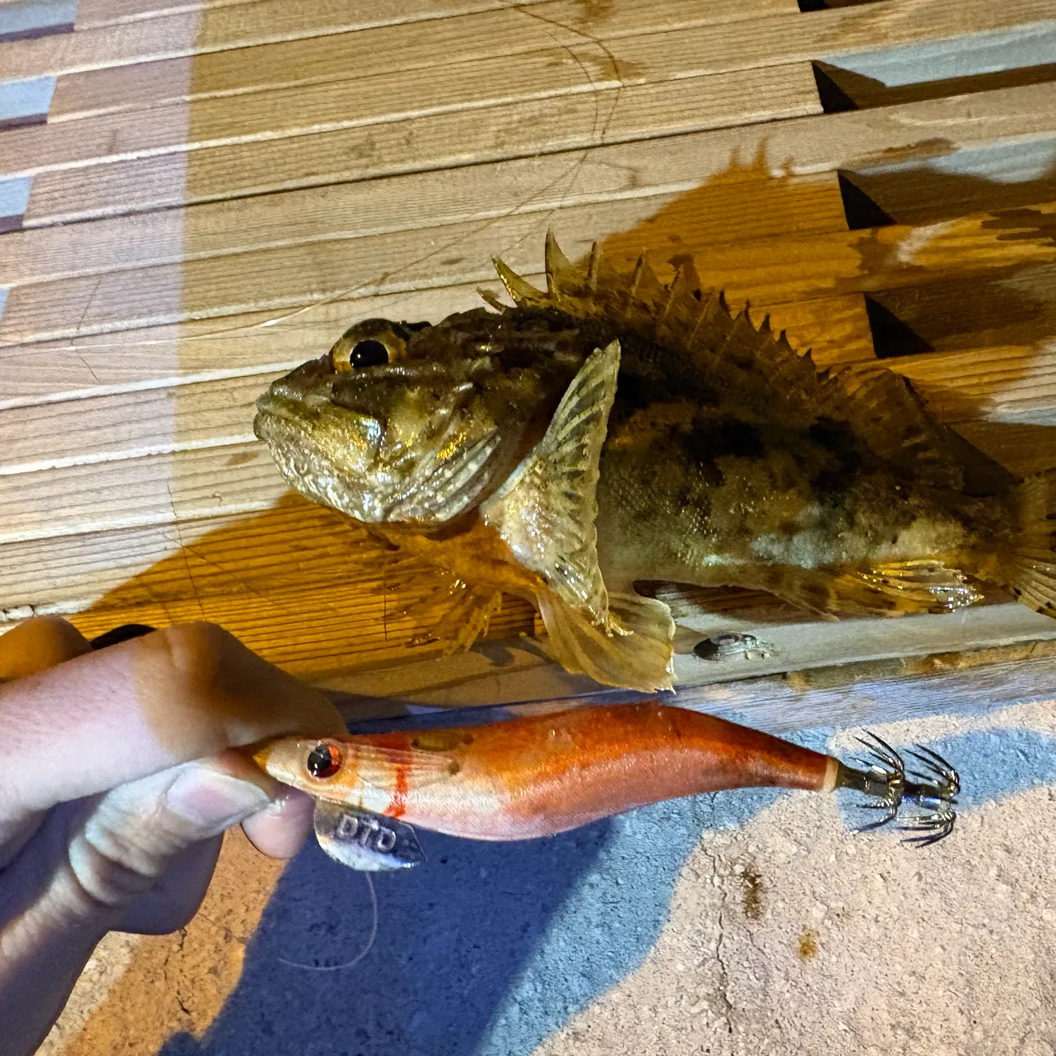 catch