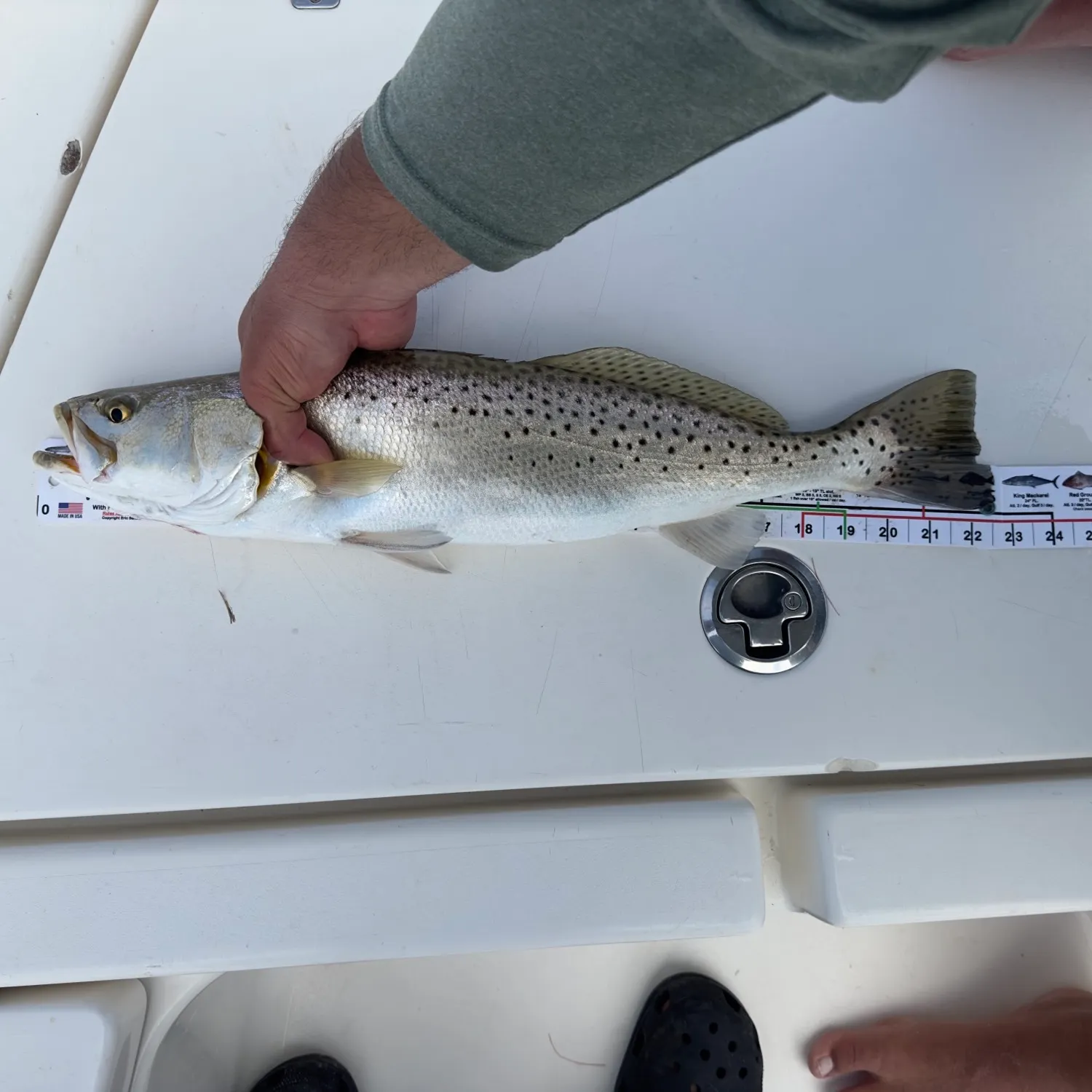 recently logged catches