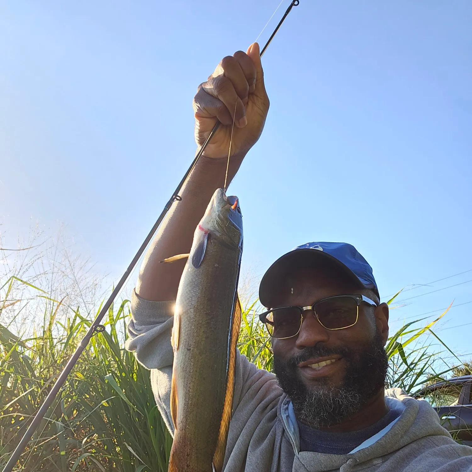 Ruddy bowfin caught on Fishbrain