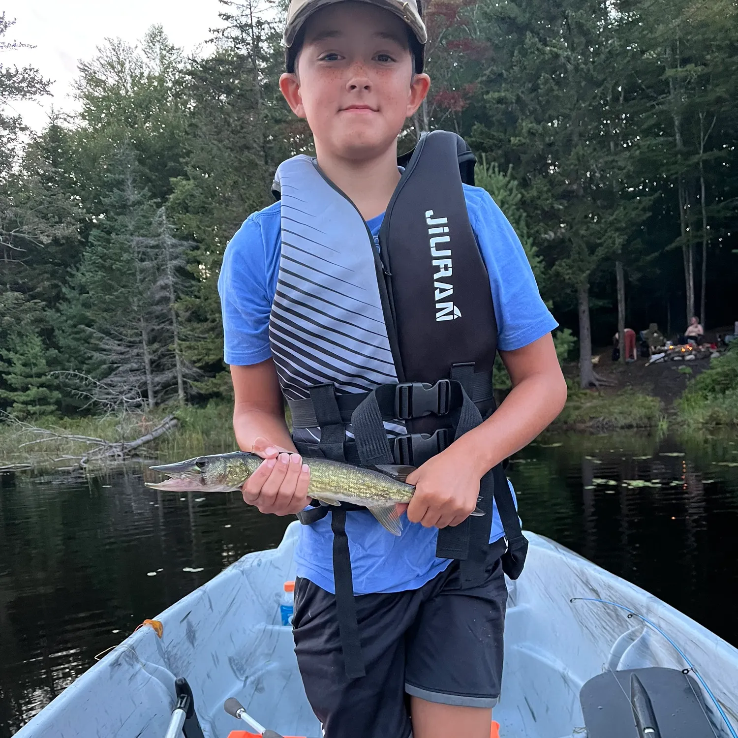 Chain pickerel caught on Fishbrain