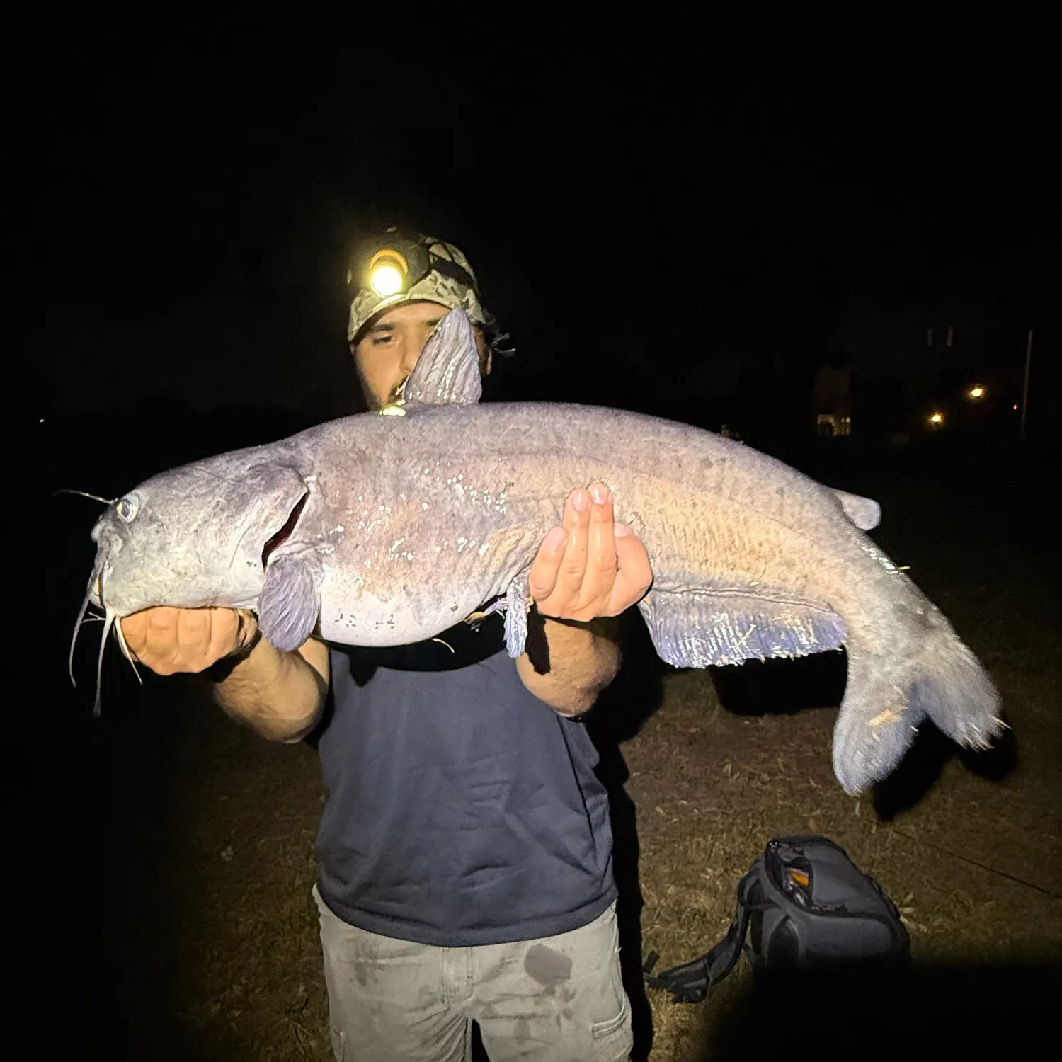 Blue catfish caught on Fishbrain