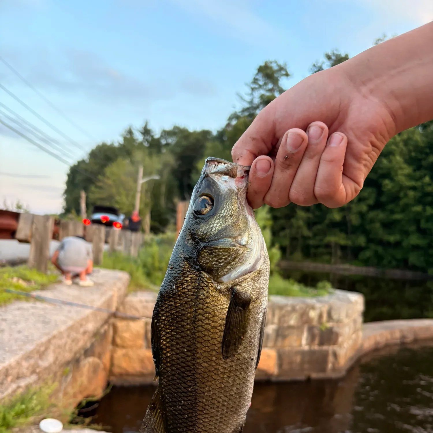 catch