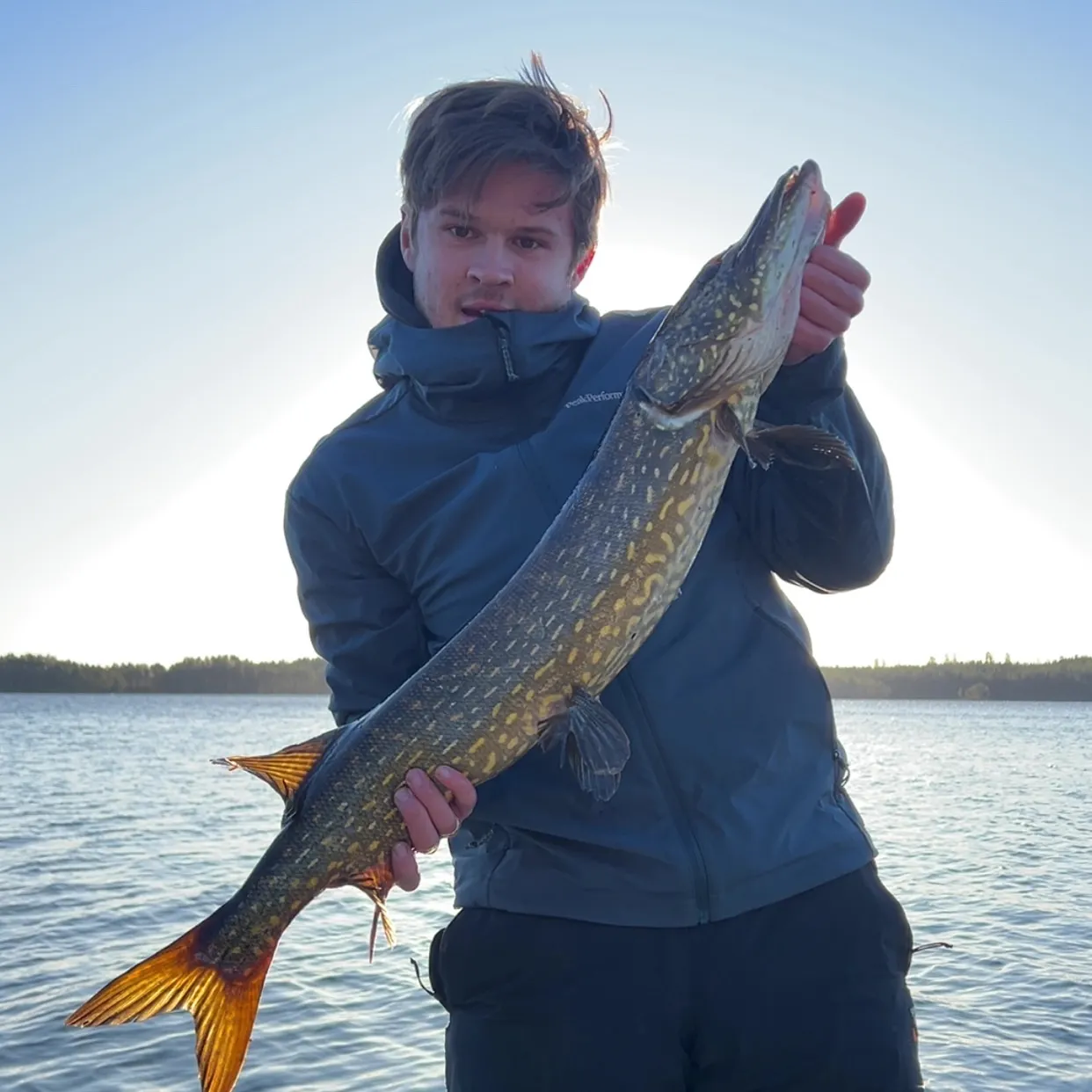 Northern pike caught on Fishbrain