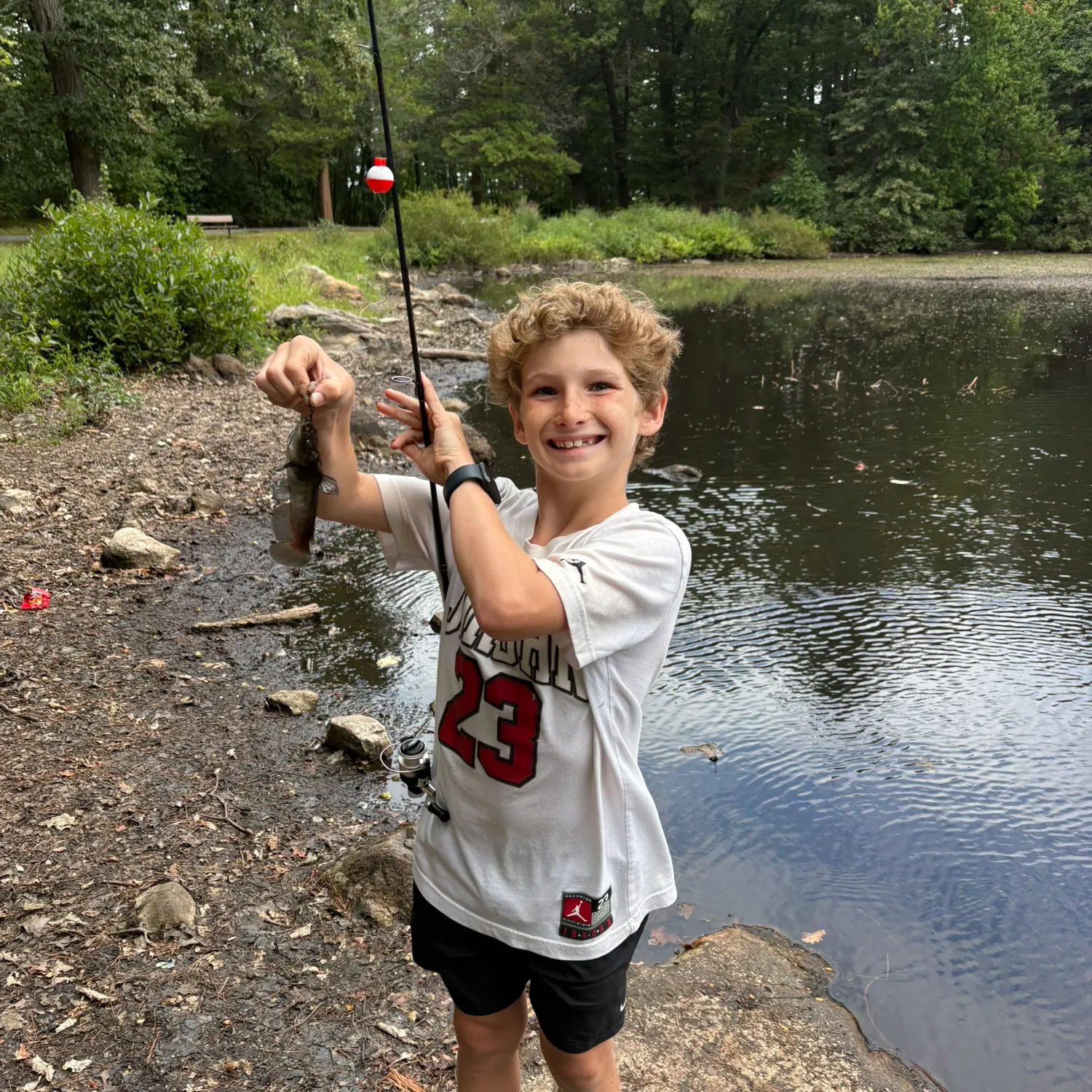 Black bullhead caught on Fishbrain