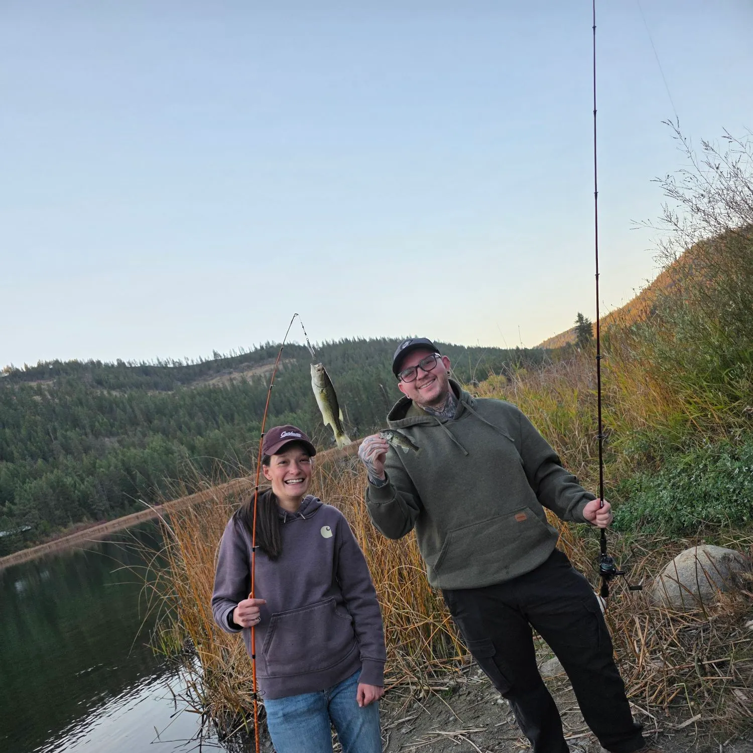 Smallmouth bass caught on Fishbrain