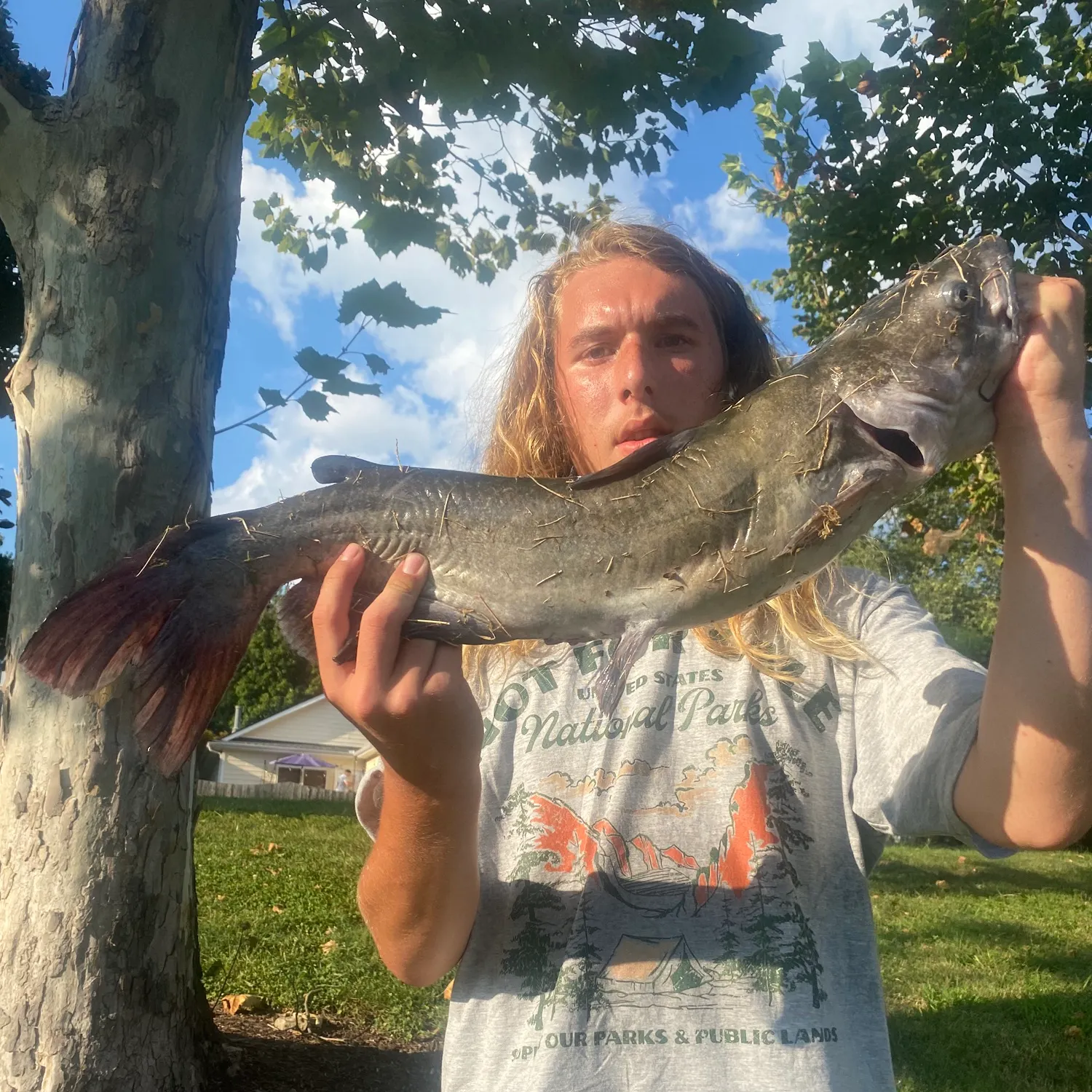 Channel catfish caught on Fishbrain