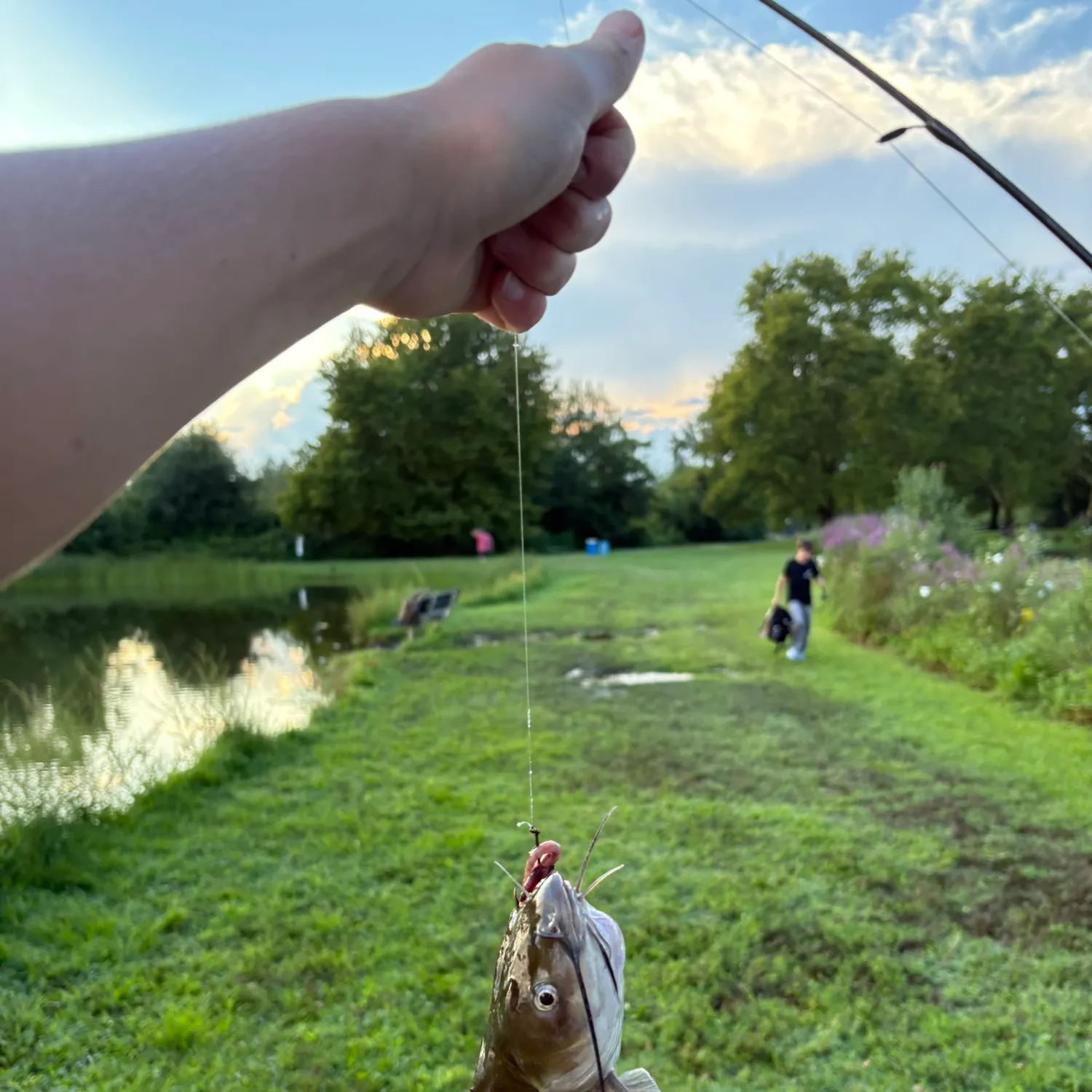 catch
