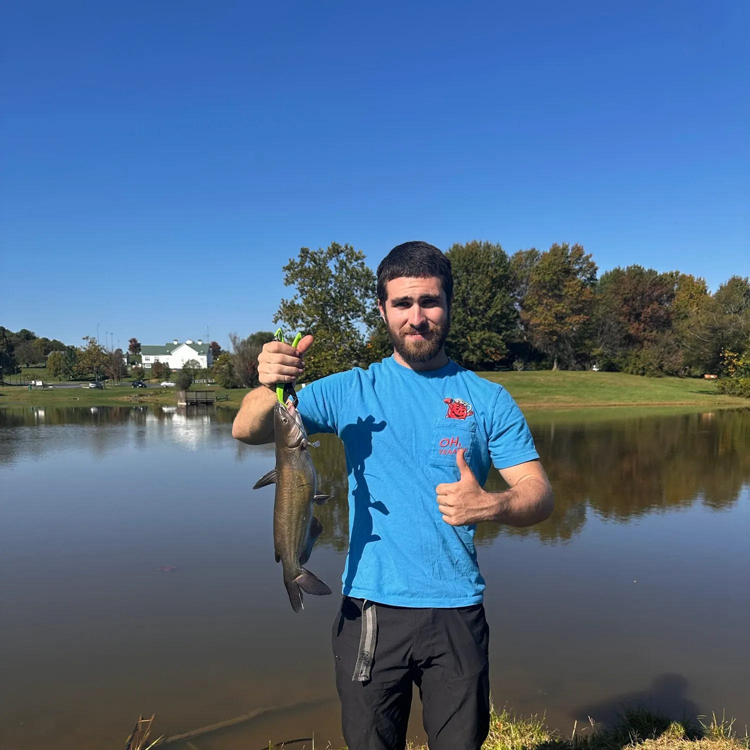 Channel catfish caught on Fishbrain