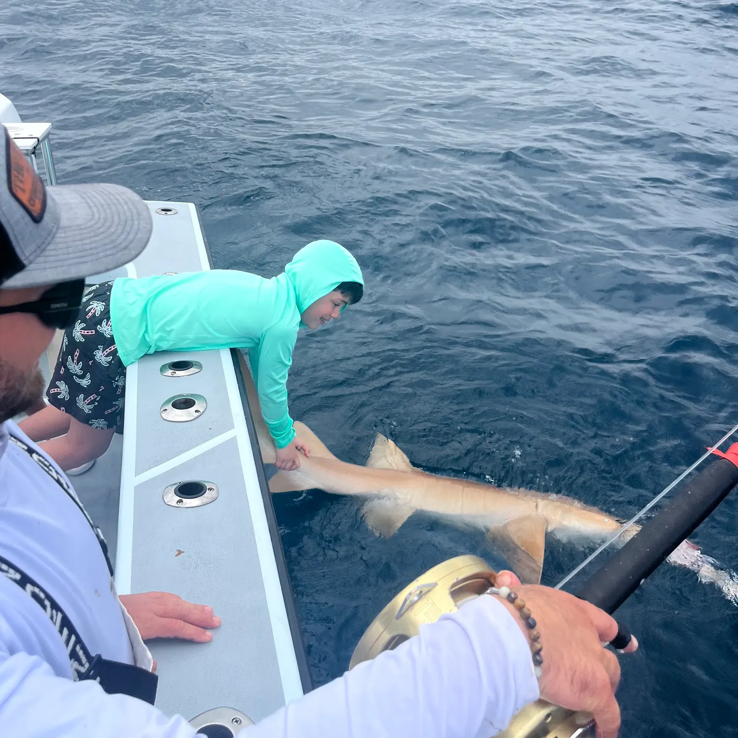 The most recent Nurse shark catches on Fishbrain