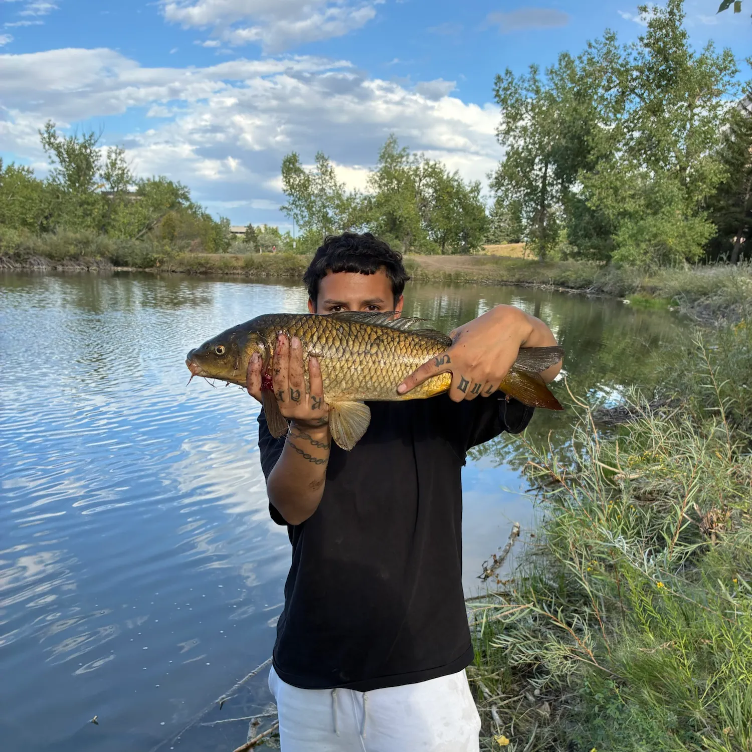 Common carp caught on Fishbrain