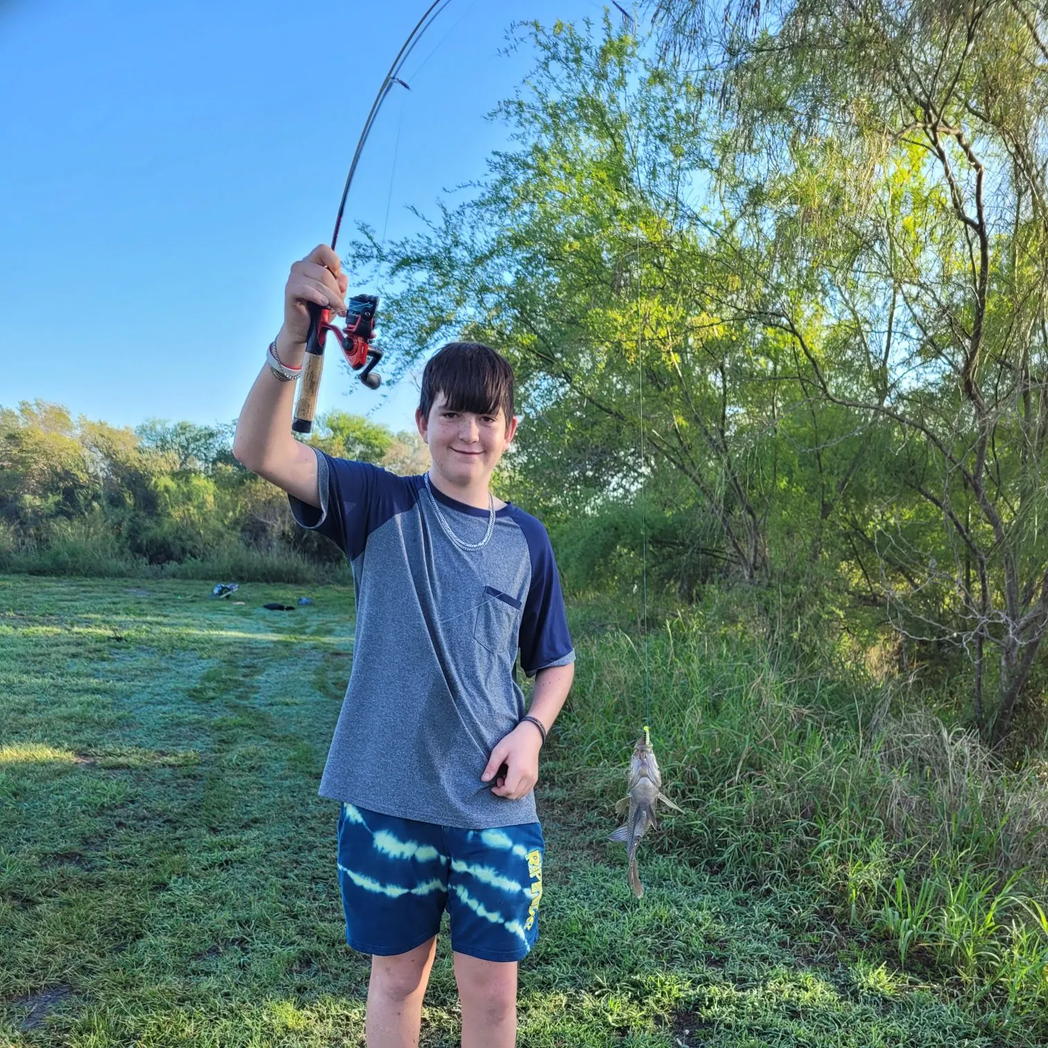 The most recent Atlantic tripletail catches on Fishbrain