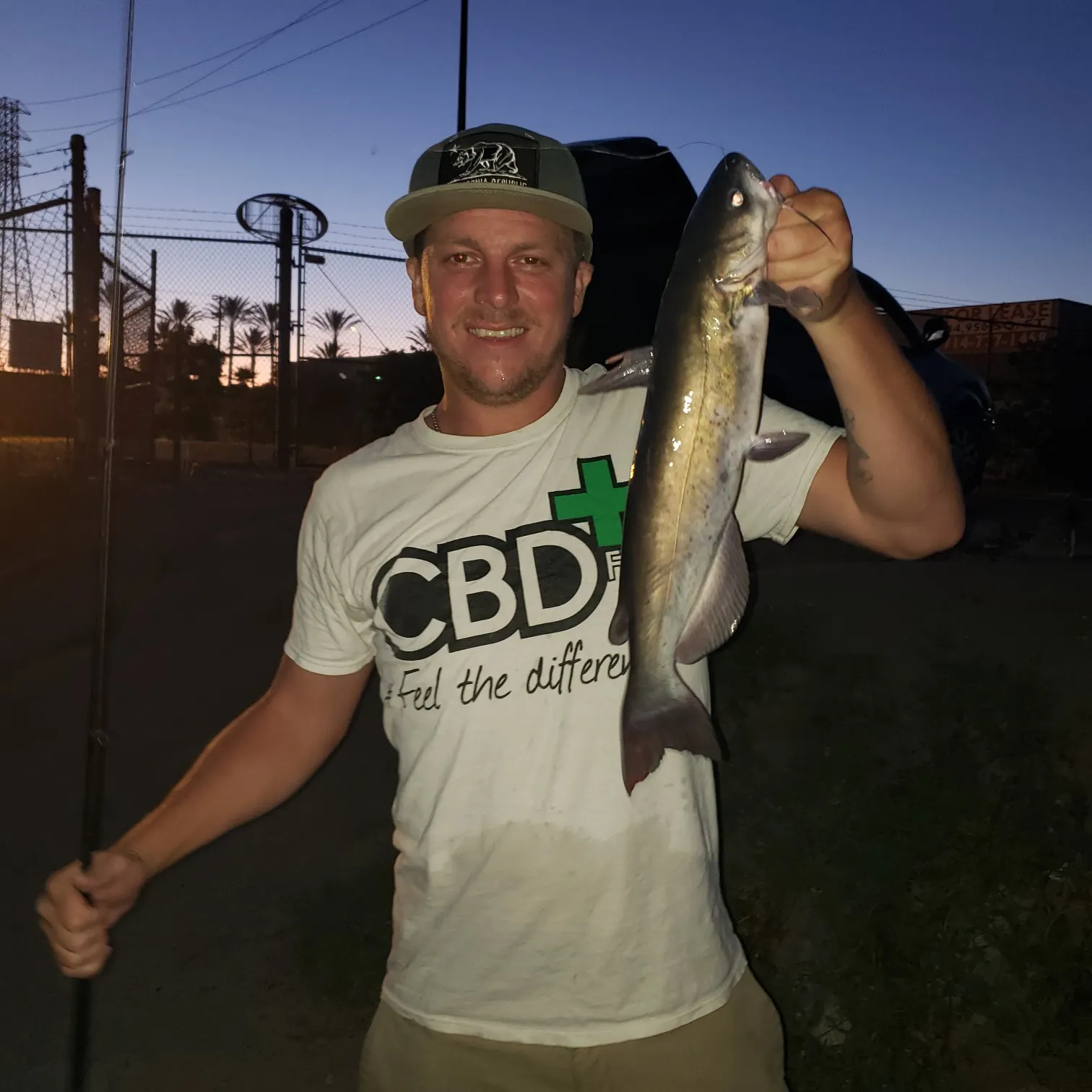 Post image from OcRELEASE